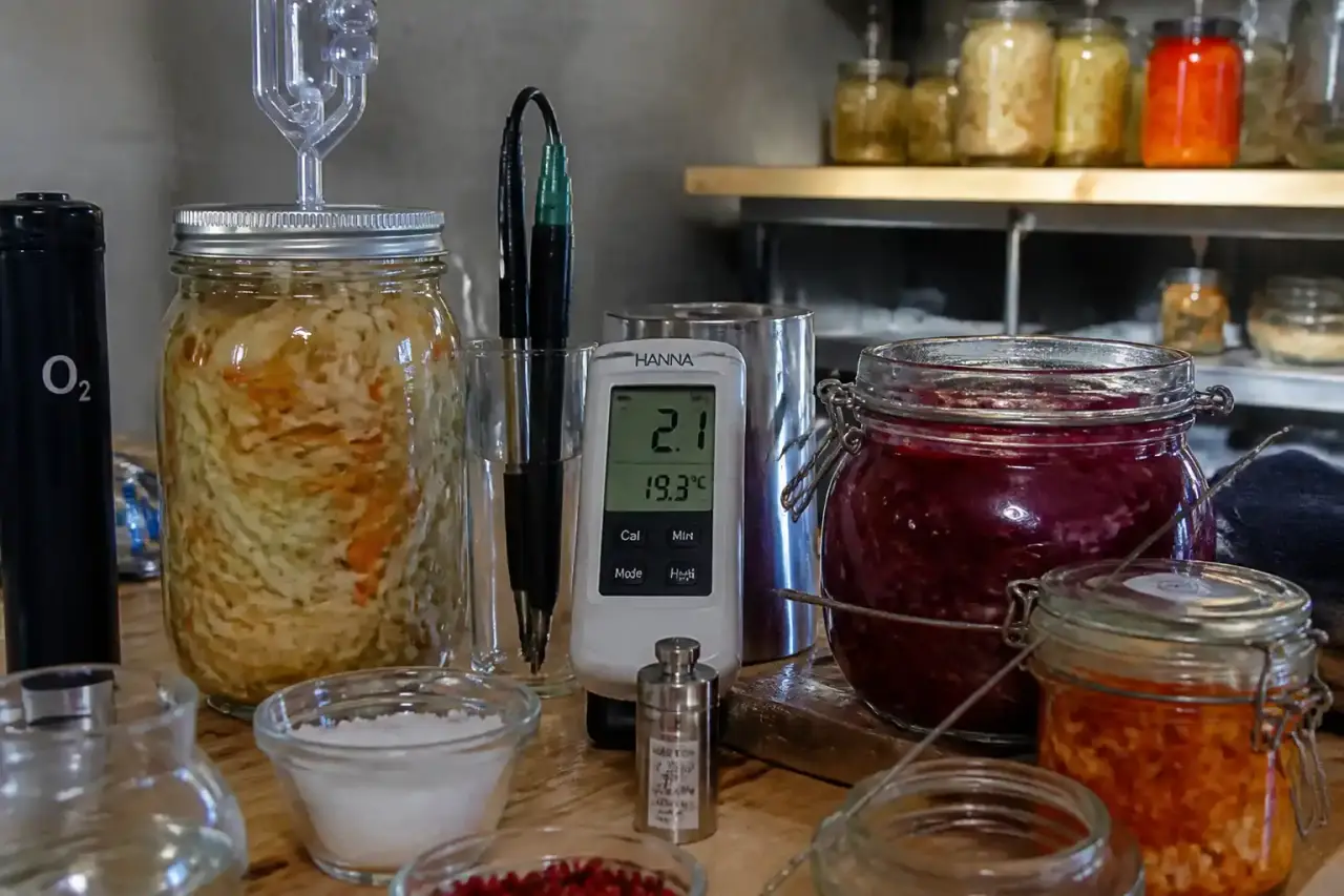 Fermentation maison : maîtrisez le sel, l’oxygène et le CO₂ pour réussir vos bocaux